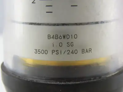 Lake Monitors B4B6WD10 Basic Variable Area Flow Meter 3500PSI 1"NPT