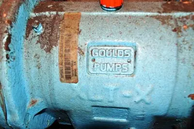 Goulds 8x10x17 SS Pump