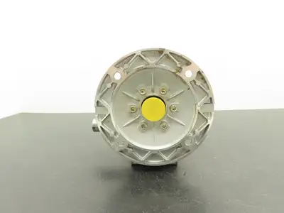 Jiangyin Guoliang NMRV040 Worm Gearbox 20:1 Reducer 75 RPM Hollow Shaft IEC 71