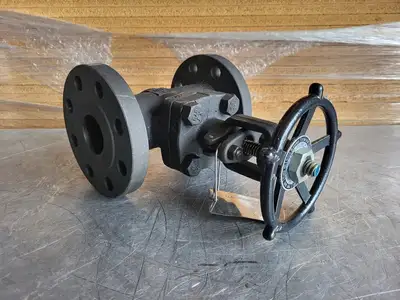 2" Class 300 Gate Valve B16.34