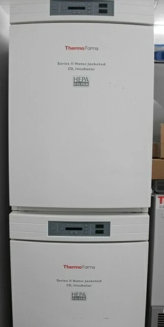 Used THERMO FORMA _UNKNOWN_ Incubators California US | Biotech Equipment Sales #1464502