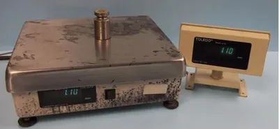 Used TOLEDO 0262 Platform Scales Texas US | Bamko Surplus Process Equipment #940397