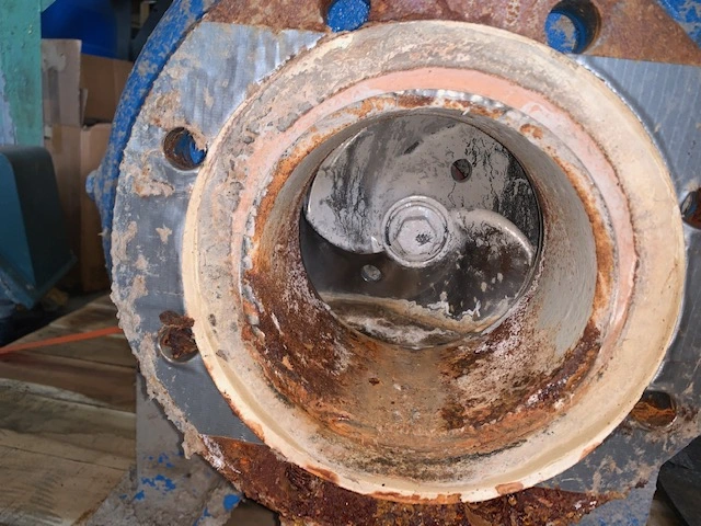 USED Goulds 3175