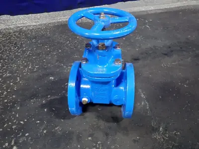 Gate Valve