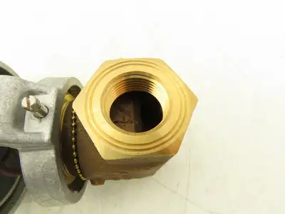 Johnson Controls 1PVG7241LT+3008B0 Control Valve Diaphragm 3/4NPT 250psi