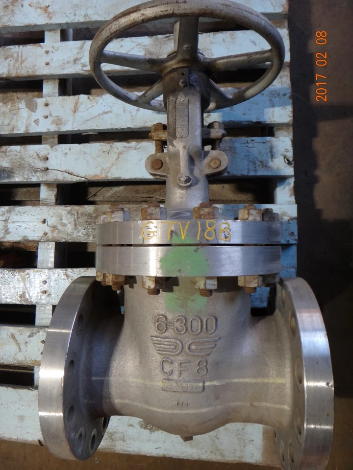 Takamisawa 6", Class 300, CF8, Gate Valve