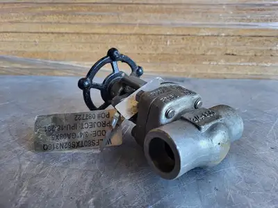 3/4" Class 800 Gate Valve B16.34