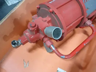 Pneumatic Actuator