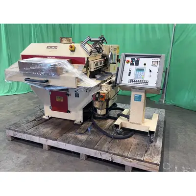 Used RAIMANN _UNKNOWN_ Woodworking Gang Saws Pennsylvania US | Highland Automation #1298374
