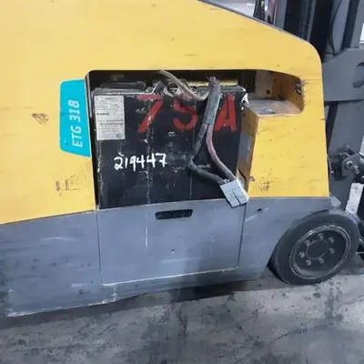 USED 2020 JUNGHEINRICH ETG318