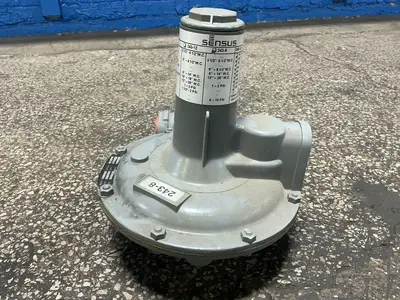 Used 2017 SENSUS 2438 Pumps Ohio US | HGR 24 #1469503