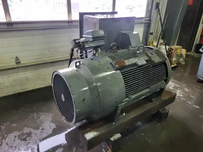 250HP 4000V Advantage Plus Electric Motor