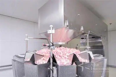 Used _UNKNOWN_ _UNKNOWN_ Solid Dose Bottling Complete Packaging Lines California US | Star Industries #1254918