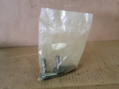 NEW RENOLD SD100A1S11I