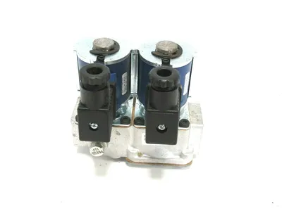 NEW FLYNN 408129 DUAL SOLENOID GAS VALVE 120VAC