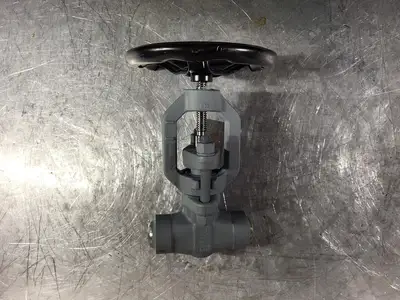 1" Class 900 Gate Valve B16.34