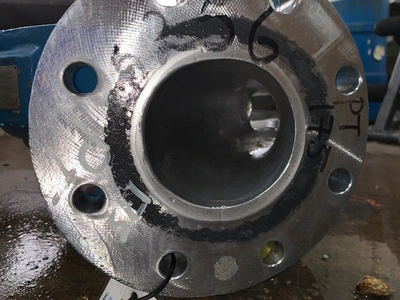 USED Goulds 3175