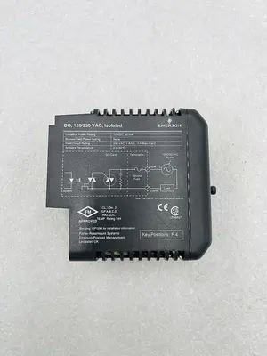 EMERSON DELTAV KJ3001X1-BH1 120/230VAC NSNP #K-2594