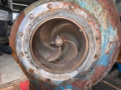 USED Goulds 3175