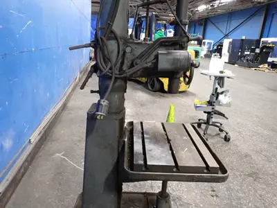 USED BUFFALO 22
