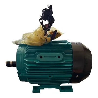New | in-Stock BROOK CROMPTON 15HP A.C. Motors MX | MAQUINARIA PECUSA #1394155