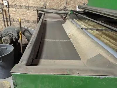 Pumpkin Squash Inspection & Cleaning Line