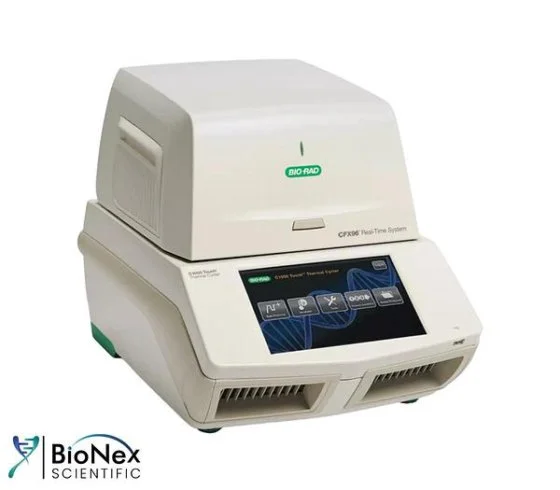 Used BIO-RAD CFX96 Biotechnology New Jersey US | Bionex Scientific LLC #800260