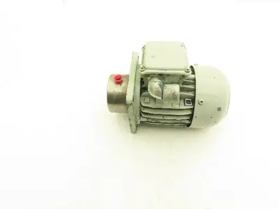 Ernst Scherzinger 1777905 71S/4 Gear Pump 1390rpm 220/380v 3ph 50hz