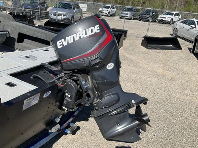 USED 2017 STARCRAFT RENEGADE 168