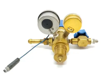 Used Advanced Specialty Gas Equipment B2-30 Regulators Michigan US | Maverick Industrial Sales #1496087