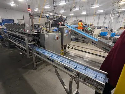 Andgar 10 Lane Berry Filler