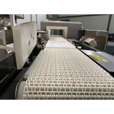 USED METTLER TOLEDO / SAFELINE, INC. STD/10X06/PG/300/ABS/V2