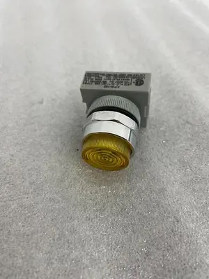 APW-199 PILOT LIGHT