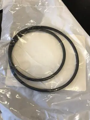71004-60 O-RING, GASONICS QTY 8