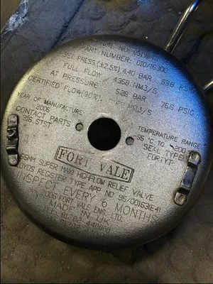Fort Vale G10/16300 316SS Highflow Relief Valve 638PSIG -55-200°C