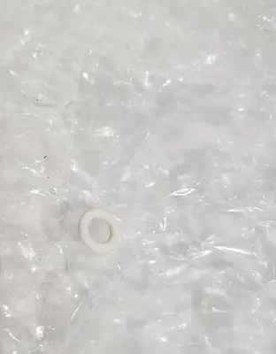 PERLAST O-RING M00005815