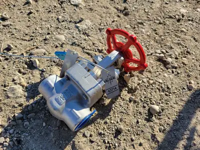 3/4" Class 800 Gate Valve B16.34