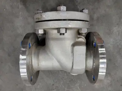3", Class 150, Check Valve, B16.34
