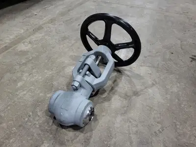 2" Class 1500 Globe Valve B16.34