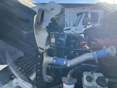 Used 2014 FREIGHTLINER M2 106 Tractors & Trailers California US | Ben Kaplan Equipment #1407726