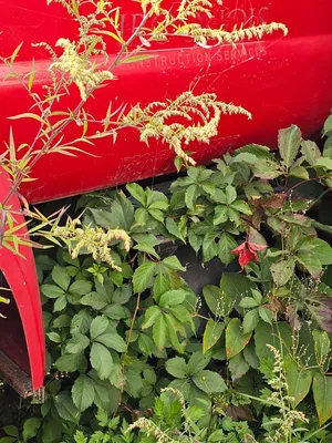 2000 FORD F650 Commercial trucks | Iron Listing (9)