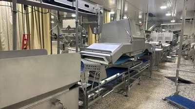 USED MAREL SENSORYX