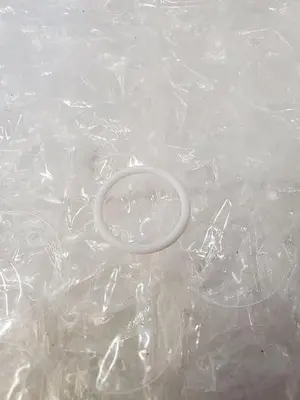 DAINIPPON SCREEN 23948766 O-RING