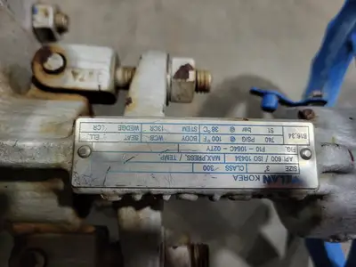 3" Class 300 Gate Valve B16.34