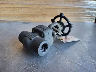 3/4" Class 800 Gate Valve B16.34