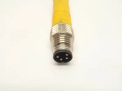 BIM-UNR-2AP6X-0.2M-PSG 4M | Turck  Inductive Magnetic Cylinder Sensor S4685842-004 - Used