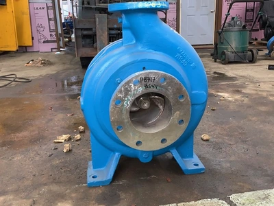 USED Goulds 3175