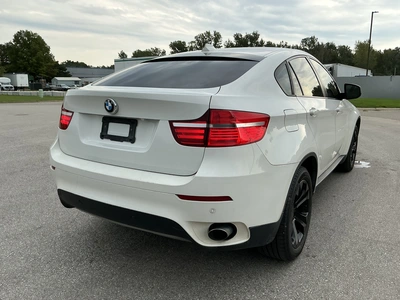Used 2010 BMW X6 Tracked Mud Buggy Michigan US | Miedema Asset Management Group #1474468