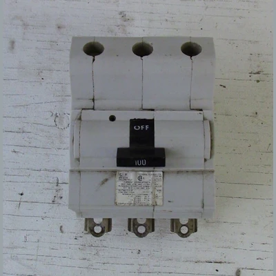 Federal Pioneer 3 Pole 100 Amp Bolt-on Breaker