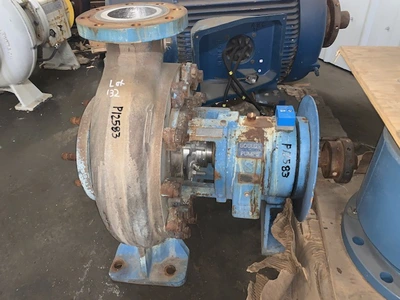 USED Goulds 3180